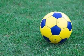 体育媒体工作者